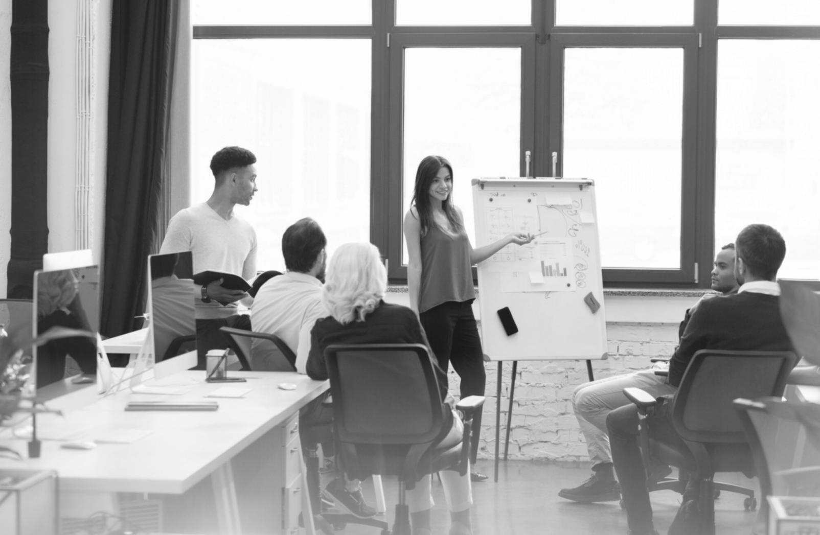 Professional business consultation session